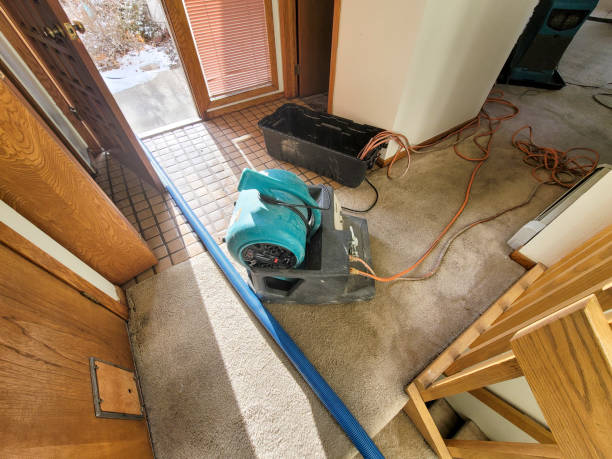 Best Fire Damage Restoration  in Highgrove, CA