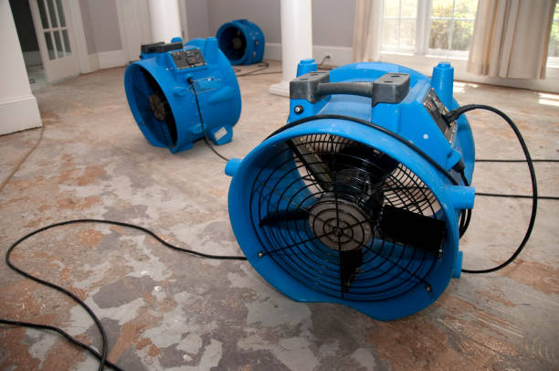 Water damage restoration process in CA