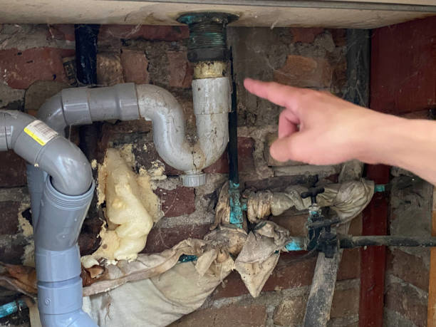 Best Water damage restoration process  in Highgrove, CA