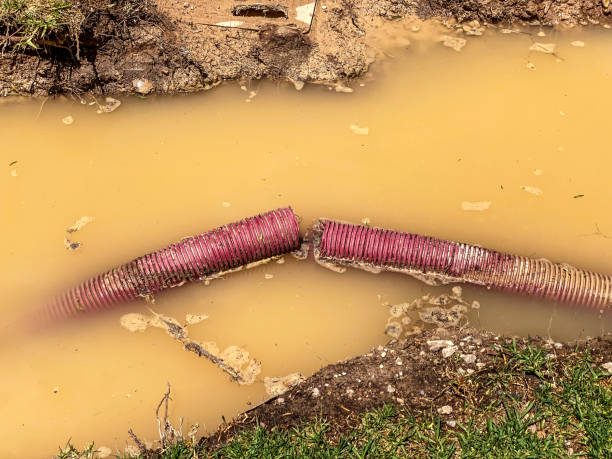 Best Flood restoration services  in Highgrove, CA